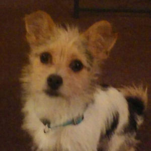 Meet your Posher, Lori